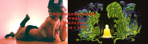 МДПВ Алзамай