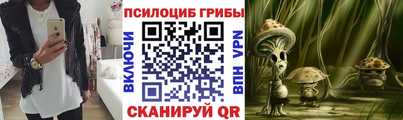Галлюциногенные грибы ЛСД  купить наркоту  Богданович 